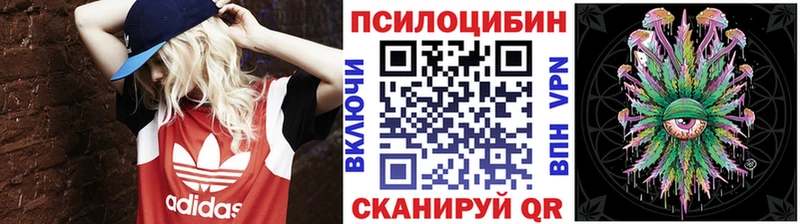 дарнет шоп  Будённовск  Галлюциногенные грибы GOLDEN TEACHER 