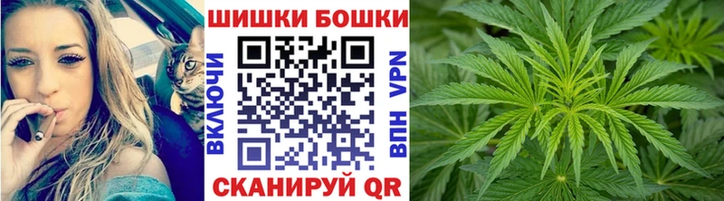 Канабис сатива Будённовск