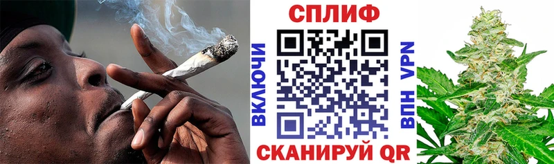 Каннабис MAZAR Будённовск